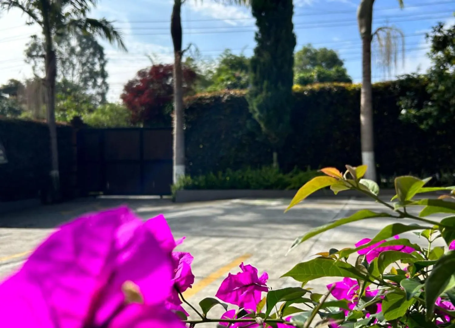 Hotel Campo Real Rionegro 2*,